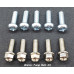 Banshee Complete Engine Bolt Kit