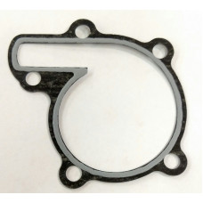 Water Pump Gasket - Banshee